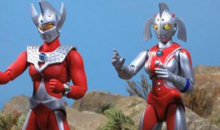 奥特曼格斗进化3卡